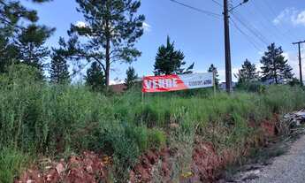 Imagem: Terreno Industrial 8000m2 Colombo Paraná