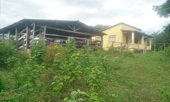 Imagem: SANTO HIPÓLITO - FAZENDA - Rural