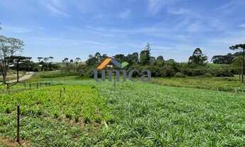 Imagem 4: CHÁCARA EM CAMPO ALEGRE/SC