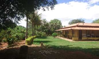 Imagem 3: Fazendinha de 17 hectares plana a 6.5 km da MG 10!