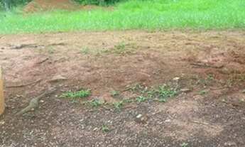 Imagem 3: Terreno em condomínio