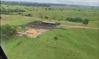 Imagem 6: Fazenda 325 Alqueires Região de Marabá/PA