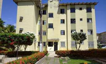 Imagem: Estrela do Mar - Farolândia