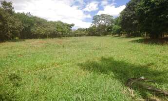 Imagem 7: Fazendinha de 17 hectares plana a 6.5 km da MG 10!