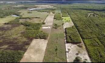 Imagem 4: Fazenda/Sítio/Chácara para venda com 76000 metros quadrados em Pirangi - Ibaretama - CE