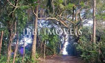 Imagem 3: Casa Rústica E Rodeada Pela Natureza