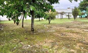 Imagem 2: Terreno para alugar, 1.153,64 m² por R$ 3.800/mês - Centro - Palhoça/SC