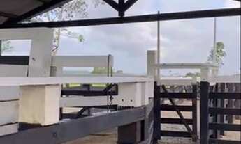 Imagem 5: Fazenda 325 Alqueires Região de Marabá/PA