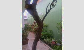 Imagem 3: CASA JD. DAS VERTENTES C/ 03 DORM.(01 SUITE) R$ 950.000,00