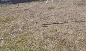 Imagem 2: Terrenos na Ilha de Itaparica/ Vera Cruz em condomínio a 200 metros da praia