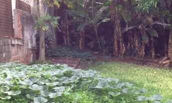 Imagem 3: TERRENO - MORUMBI - SP