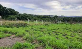 Imagem 2: Excelente terreno Misto região de Santa Terezinha