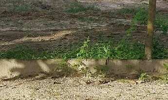 Imagem 5: Propriedade rural 9 hectares