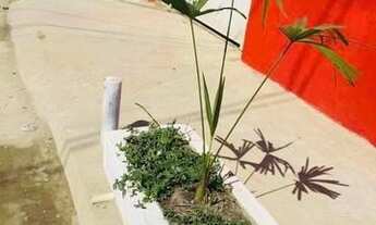 Imagem 4: Coelho da Rocha Galpão / depósito com aluguel por R$3.800 /mês