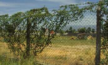 Imagem: Pindamonhangaba - Terreno Padrao - Jardim