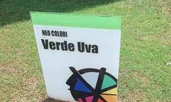 Imagem: Alugo Neo Colori, na Mario Covas