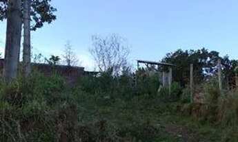 Imagem 2: Terreno Araricá 10x20