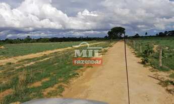 Imagem 7: Fazenda em Araguaçu-TO. Área Total: 125 Alqueires (605 Há