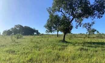 Imagem 6: 2 Alqueires sem benfeitoria com energia trifásica em Prof. Jamilrifasica