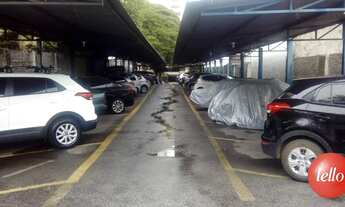 Imagem 4: São Paulo - Terreno Padrão - Perdizes