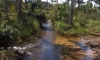 Imagem: Vendo Fazenda Pacary