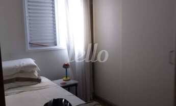 Imagem 7: São Paulo - Casa Padrão - Mooca