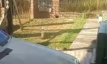 Imagem 7: Casa em Guaíba c/ 2 quartos e pátio amplo. Troca em Porto Alegre ou venda a vista R$80.000