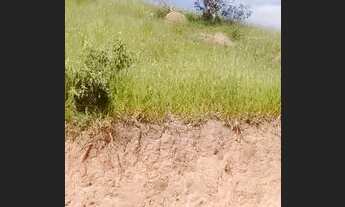 Imagem 4: Ag7- aceito seu carro ou moto sob analise