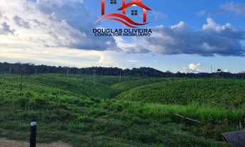 Imagem 2: Fazenda De 13.000 Hectares No Estado Do Pará