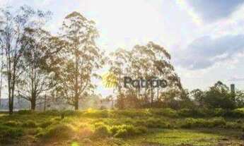 Imagem 2: Área à venda ZER1, 28003 m² por R$ 30.800.000 - Bairro Cooperativa - Próximo RODOANEL e IM