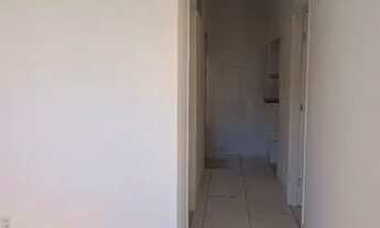 Imagem 6: Casas para aluguel