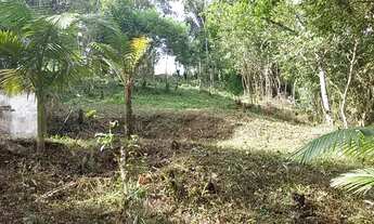 Imagem 7: Terreno km4 antonina pr