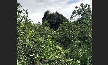 Imagem 6: R$120.000 Chácara com venda por R$120.000