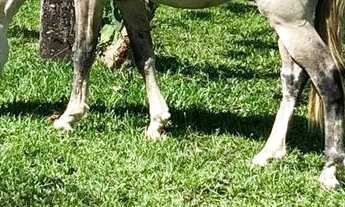 Imagem 7: A paz e a tranquilidade dos seus sonhos!