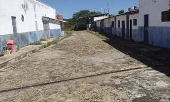 Imagem 7: Vendo Terreno 50 x 500mts. na Av. Henry Wall de Carvalho (Próximo a Ambev)