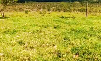 Imagem 3: Vendo terreno na estrada do pontal, Linhares-ES com 40 Alqueires