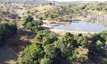 Imagem 3: Fazendinha de 60 hectares rica em água com casa excelente