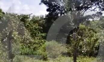 Imagem 3: Terreno no Bairro Mosqueiro com 352m² e Escritura Pronta