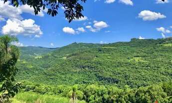 Imagem 6: Sítio / Chácara para Venda em Nova Petrópolis, Pinhal Alto, 3 dormitórios, 1 banheiro, 2 v