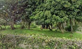 Imagem 2: Terreno á venda com 59 mil m2 na Vargem do Bom Jesus