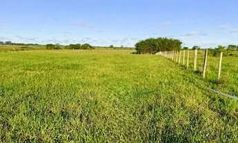 Imagem 4: ÁREA 34.272 M². ESTRADA DO BREJO GRANDE