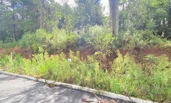 Imagem: Terreno - Bairro Dutra