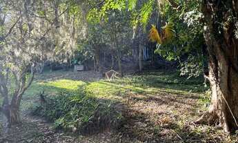 Imagem 4: Terreno à venda, 4600 m² por R$ 2.200.000,00 - Ratones - Florianópolis/SC