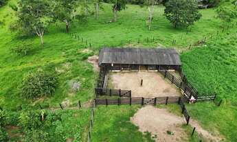 Imagem 2: Fazenda 25 alqueires px Anápolis