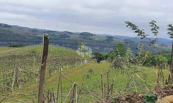 Imagem 5: Terra no interior de Monte Belo do Sul