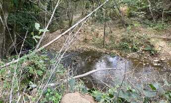 Imagem 3: Fazenda a venda em Ipameri - Goiás!!!