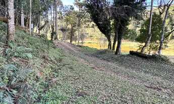 Imagem 7: Chácara R$35.000