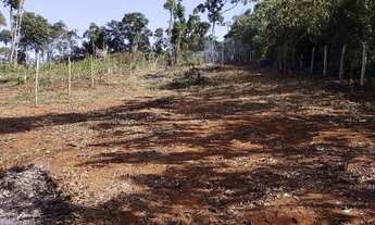 Imagem 5: Chácara.. 1000 metros..