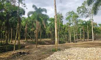 Imagem 7: Belas Áreas a venda Roseira , ótima oportunidade
