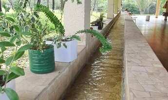 Imagem 4: Fazenda à Venda em Cocalzinho - Goiás - 54 Alqueires